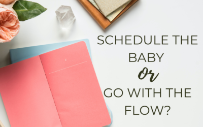 Getting Our Baby onto a Schedule